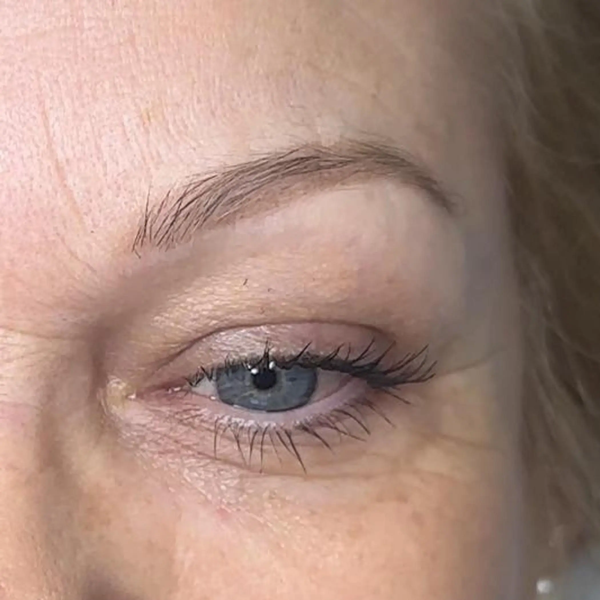 close up eyebrow hair stroke details