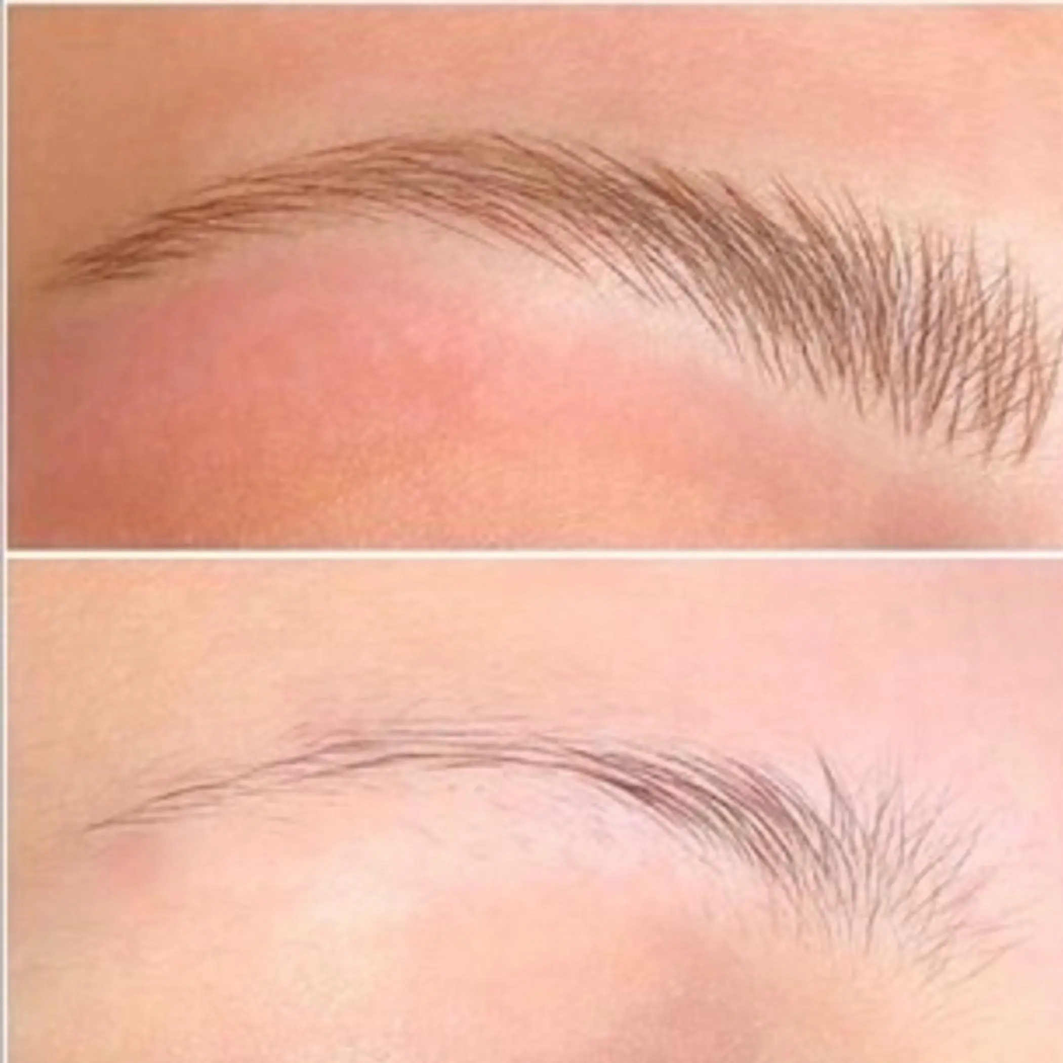 close up ombre brow healed detail