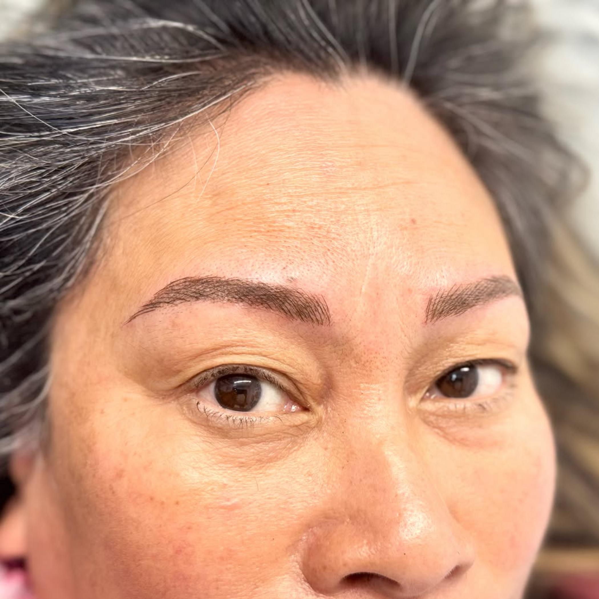 consultation for hybrid brows australia